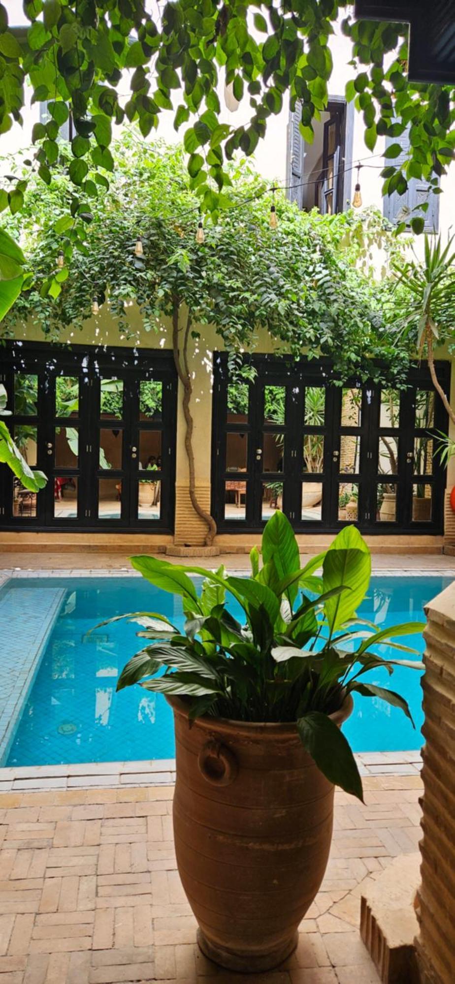 Riad Dar Haven Tamraght Esterno foto